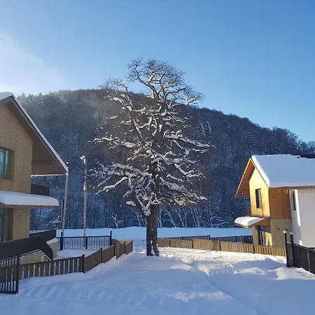 Дом для отпуска Коттедж Кристалл Бакуриани Экстерьер фото